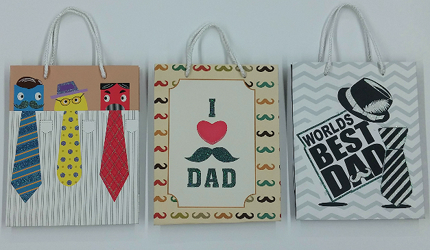 (MGT02)[Glitter] Dad's Celebration 3-Design Gift Bag